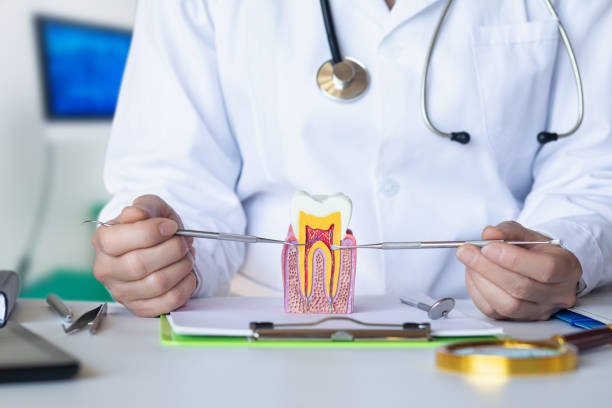 Best Emergency Tooth Extraction  in Perkasie, PA